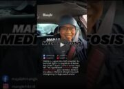 Mediamorfosis
